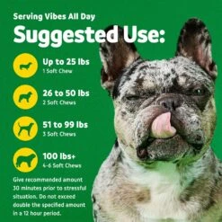 Vibeful Calming Hemp Chicken Flavored Soft Chews Calming Supplement For Dogs -Pet Wellness 574014 PT5. AC SS1800 V1669761027
