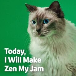 Vibeful Behavior Support Powder Calming Supplement For Medium Dogs & Cats, 30 Count 15 Vibeful Behavior Support Powder Calming Supplement For Medium Dogs & Cats, 30 Count -Pet Wellness 574062 PT6. AC SS1800 V1669761024