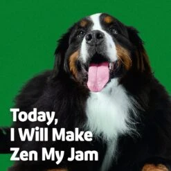 Vibeful Behavior Support Powder Calming Supplement For Large Dogs -Pet Wellness 574078 PT6. AC SS1800 V1669761028