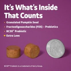 Vibeful Probiotic Bites Pumpkin Flavored Soft Chews Digestive Supplement For Dogs 12 Vibeful Probiotic Bites Pumpkin Flavored Soft Chews Digestive Supplement For Dogs -Pet Wellness 574094 PT4. AC SS1800 V1667227699