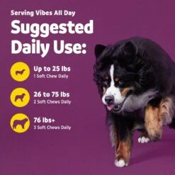 Vibeful Probiotic Bites Duck Flavored Soft Chews Digestive Supplement For Dogs -Pet Wellness 574110 PT5. AC SS1800 V1667228146