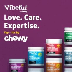Vibeful Probiotic Bites Duck Flavored Soft Chews Digestive Supplement For Dogs -Pet Wellness 574110 PT7. AC SS1800 V1671639075