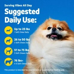 Vibeful 10-in-1 Multivitamin Bites Peanut Butter Flavored Soft Chews Multivitamin For Dogs -Pet Wellness 574166 PT5. AC SS1800 V1667228801