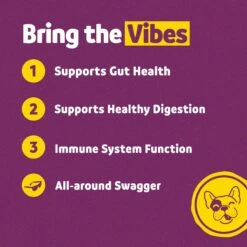 Vibeful Probiotic Gastrointestinal Support Powder Digestive Supplement For Dogs -Pet Wellness 574230 PT3. AC SS1800 V1669760967