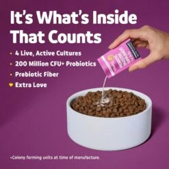 Vibeful Probiotic Gastrointestinal Support Powder Digestive Supplement For Dogs -Pet Wellness 574230 PT4. AC SS1800 V1669761024