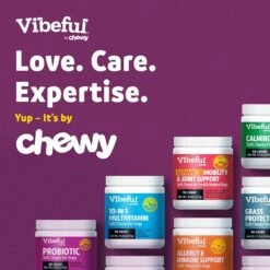 Vibeful Probiotic Gastrointestinal Support Powder Digestive Supplement For Dogs -Pet Wellness 574230 PT7. AC SS1800 V1669760970