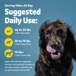 Vibeful Grass Protection Duck Flavored Soft Chews Supplement For Dogs -Pet Wellness 574262 PT5. AC SS1800 V1667229655