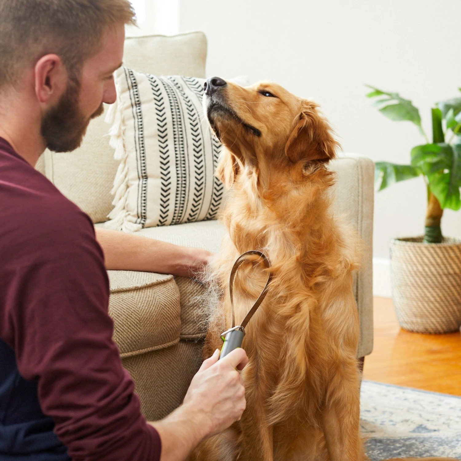 TropiClean Lime & Cocoa Butter Deshedding Dog Conditioner & Frisco Shedding Blade Dog Brush, One Size 9 TropiClean Lime & Cocoa Butter Deshedding Dog Conditioner & Frisco Shedding Blade Dog Brush, One Size - Image 9