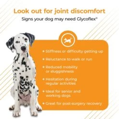 VetriScience GlycoFlex Stage III Chicken Flavored Chewable Tablets Joint Supplement For Dogs -Pet Wellness 57609 PT3. AC SS1800 V1649934982