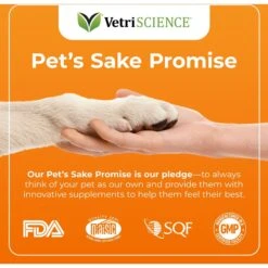 VetriScience GlycoFlex Stage III Chicken Flavored Chewable Tablets Joint Supplement For Dogs -Pet Wellness 57609 PT5. AC SS1800 V1649940385