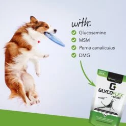 VetriScience GlycoFlex 2 Chicken Liver Flavored Soft Chews Joint Supplement For Dogs 9 VetriScience GlycoFlex 2 Chicken Liver Flavored Soft Chews Joint Supplement For Dogs -Pet Wellness 57613 PT3. AC SS1800 V1649935889