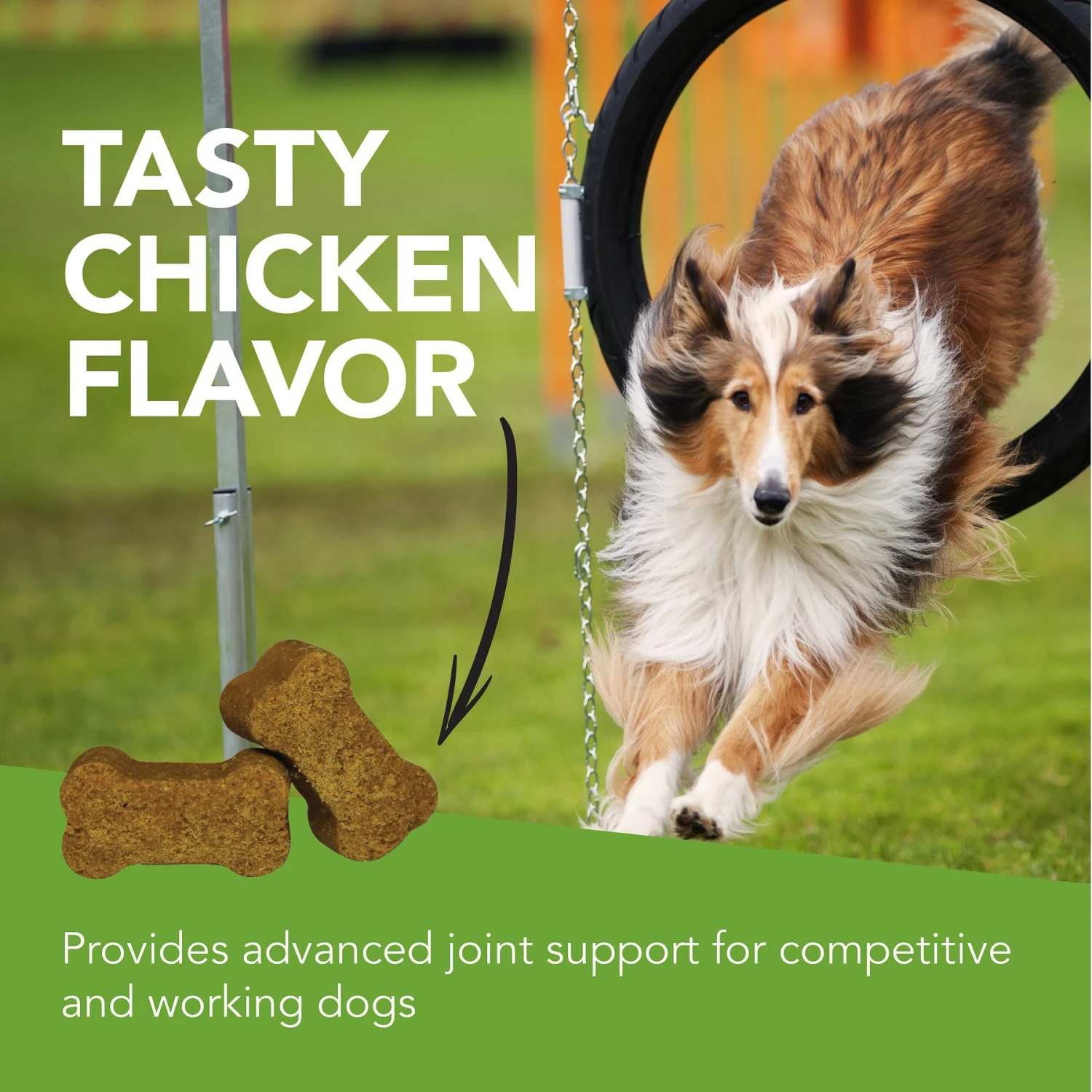 VetriScience GlycoFlex 2 Chicken Liver Flavored Soft Chews Joint Supplement For Dogs 5 VetriScience GlycoFlex 2 Chicken Liver Flavored Soft Chews Joint Supplement For Dogs - Image 5