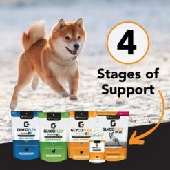 VetriScience GlycoFlex 2 Chicken Liver Flavored Soft Chews Joint Supplement For Dogs 11 VetriScience GlycoFlex 2 Chicken Liver Flavored Soft Chews Joint Supplement For Dogs -Pet Wellness 57613 PT5. AC SS1800 V1649883687