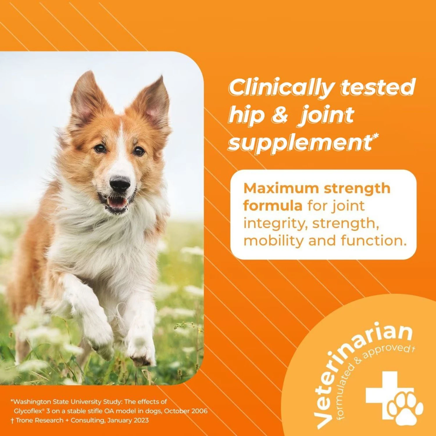 VetriScience GlycoFlex 3 Chicken Liver Flavored Soft Chews Joint Supplement For Dogs 3 VetriScience GlycoFlex 3 Chicken Liver Flavored Soft Chews Joint Supplement For Dogs - Image 3