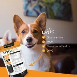 VetriScience GlycoFlex 3 Chicken Liver Flavored Soft Chews Joint Supplement For Dogs 8 VetriScience GlycoFlex 3 Chicken Liver Flavored Soft Chews Joint Supplement For Dogs -Pet Wellness 57614 PT3. AC SS1800 V1649937983