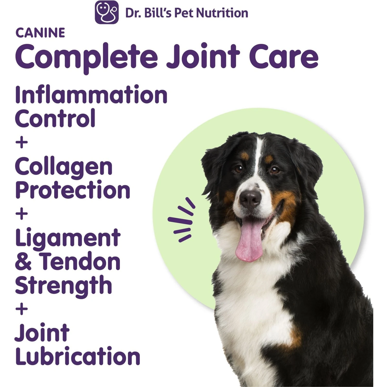 Dr. Bill's Pet Nutrition Canine Complete Joint Care Advanced Hip & Joint Care Powder Supplement For Dogs, 340-gm Pouch 2 Dr. Bill's Pet Nutrition Canine Complete Joint Care Advanced Hip & Joint Care Powder Supplement For Dogs, 340-gm Pouch - Image 2