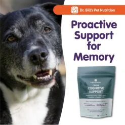Dr. Bill's Pet Nutrition Canine Cognitive Support Brain & Nervous System Senior Dog Supplement Powder, 180-gm Pouch -Pet Wellness 577302 PT6. AC SS1800 V1673287457