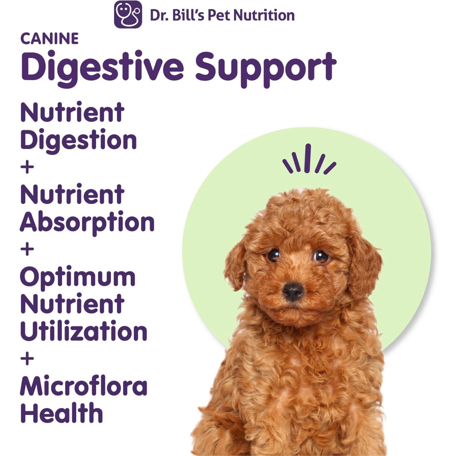 Dr. Bill's Pet Nutrition Canine Digestive Support Probiotics & Digestive Enzymes Dog Supplement Powder, 180-gm Pouch 2 Dr. Bill's Pet Nutrition Canine Digestive Support Probiotics & Digestive Enzymes Dog Supplement Powder, 180-gm Pouch - Image 2