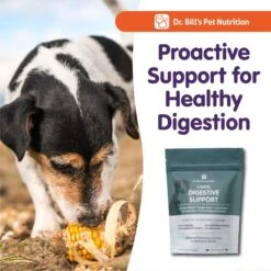 Dr. Bill's Pet Nutrition Canine Digestive Support Probiotics & Digestive Enzymes Dog Supplement Powder, 180-gm Pouch 14 Dr. Bill's Pet Nutrition Canine Digestive Support Probiotics & Digestive Enzymes Dog Supplement Powder, 180-gm Pouch -Pet Wellness 577318 PT6. AC SS1800 V1673378968