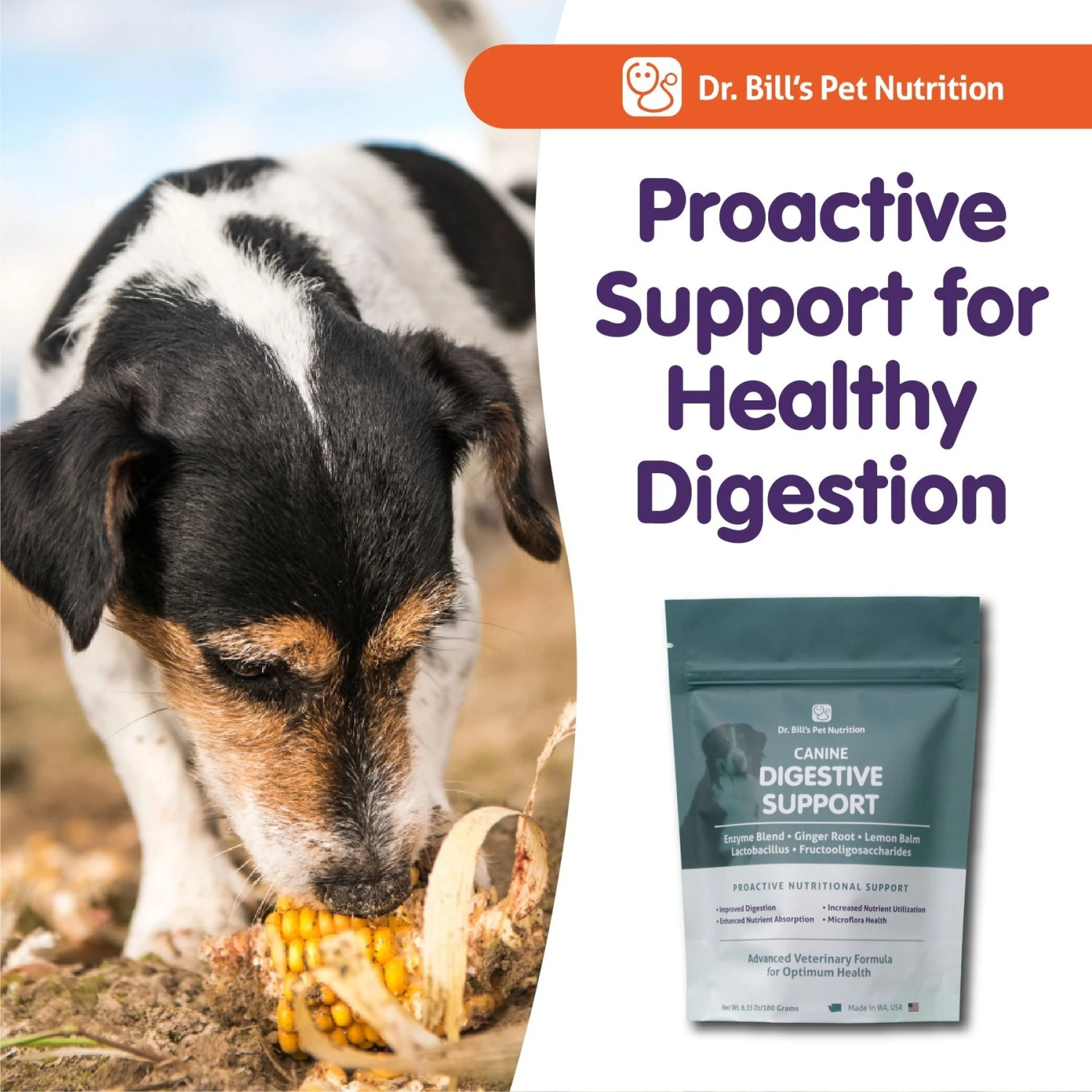 Dr. Bill's Pet Nutrition Canine Digestive Support Probiotics & Digestive Enzymes Dog Supplement Powder, 180-gm Pouch 7 Dr. Bill's Pet Nutrition Canine Digestive Support Probiotics & Digestive Enzymes Dog Supplement Powder, 180-gm Pouch - Image 7