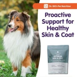Dr. Bill's Pet Nutrition Canine Optimum Skin & Coat Dog Supplement Powder -Pet Wellness 577382 PT6. AC SS1800 V1673379026