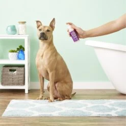 Buddy Wash Splash Lavender & Mint Dog Spritzer & Conditioner -Pet Wellness 57873 PT4. AC SS1800 V1535663572