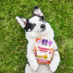 Austin And Kat Harper's Mushroom Medley Dog & Cat Supplement, 2.12-oz Bag -Pet Wellness 578766 PT7. AC SS1800 V1659705114