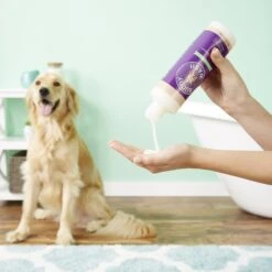 Buddy Wash Original Lavender & Mint Dog Shampoo & Conditioner -Pet Wellness 57876 PT4. AC SS1800 V1535663825