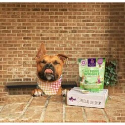 Austin And Kat Bailey's No More Wiggles Dog & Cat Supplement, 2.71-oz Bag -Pet Wellness 578798 PT7. AC SS1800 V1659705058