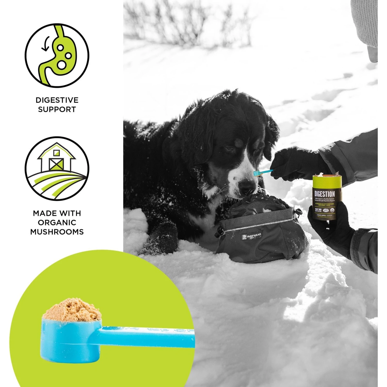 BIXBI Organic Pet Superfood Digestion Daily Dog & Cat Supplement 3 BIXBI Organic Pet Superfood Digestion Daily Dog & Cat Supplement - Image 3