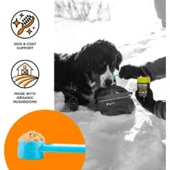 BIXBI Organic Pet Superfood Skin & Coat Daily Dog & Cat Supplement -Pet Wellness 58154 PT2. AC SS1800 V1471988324