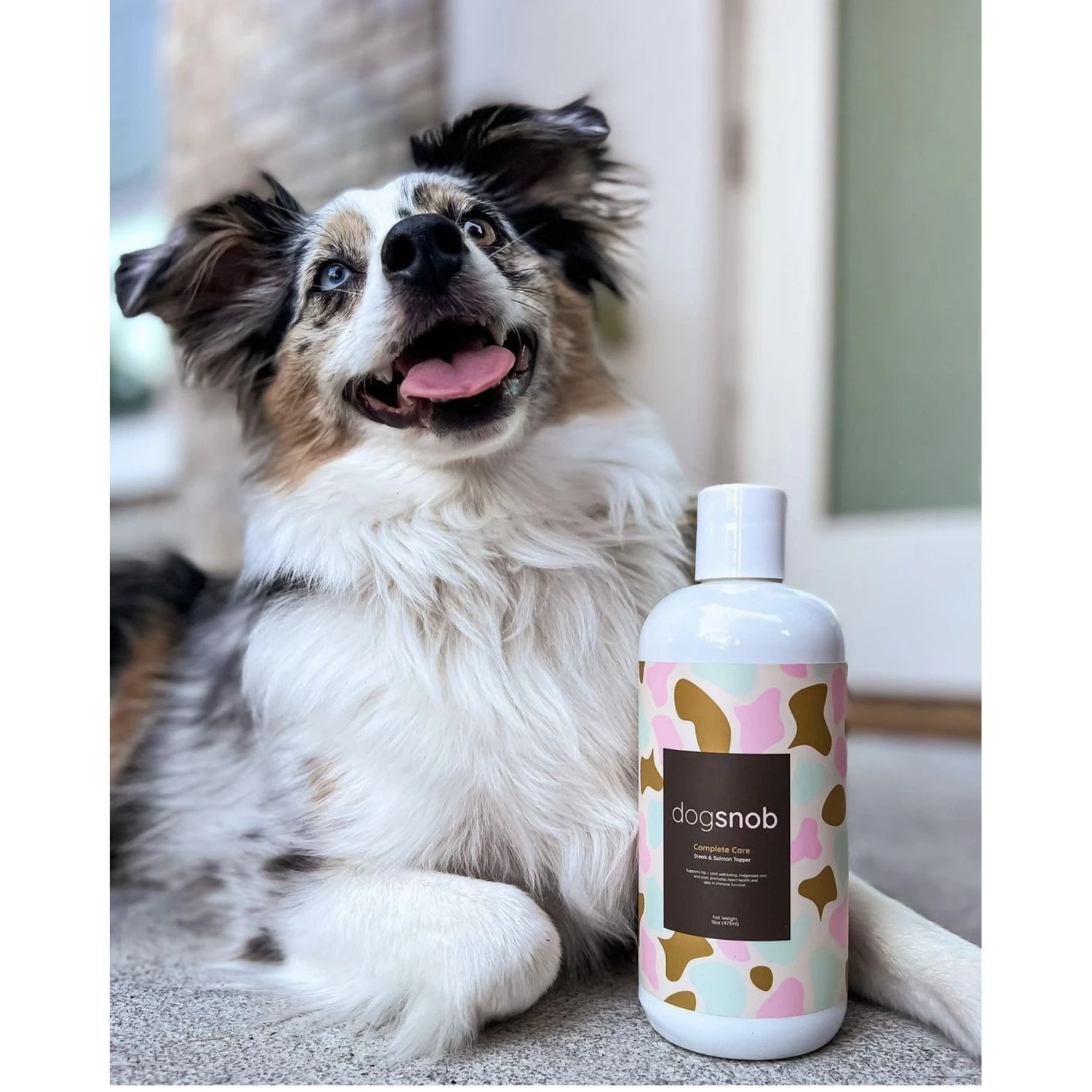 Dogsnob 5-in-1 Superfood Gravy Steak & Salmon Flavored Liquid Supplement For Dogs, 16-oz Bottle 5 Dogsnob 5-in-1 Superfood Gravy Steak & Salmon Flavored Liquid Supplement For Dogs, 16-oz Bottle - Image 5