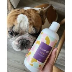 Dogsnob 5-in-1 Vitamin Superfood Gravy Smoked Turkey Flavored Liquid Supplement For Dogs, 16-oz Bottle -Pet Wellness 583334 PT4. AC SS1800 V1658521090