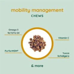Dogsnob ZOOMIES Mobility Hip & Joint Pumpkin & Coconut Flavored Chews Supplement For Dogs, 80 Count -Pet Wellness 583366 PT2. AC SS1800 V1658678491