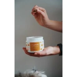 Dogsnob ZOOMIES Mobility Hip & Joint Pumpkin & Coconut Flavored Chews Supplement For Dogs, 80 Count -Pet Wellness 583366 PT5. AC SS1800 V1658434947