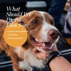 Veterinary Formula Clinical Care Oatmeal & Tea Tree Oil Infuser Shampoo -Pet Wellness 58532 PT3. AC SS1800 V1632781876