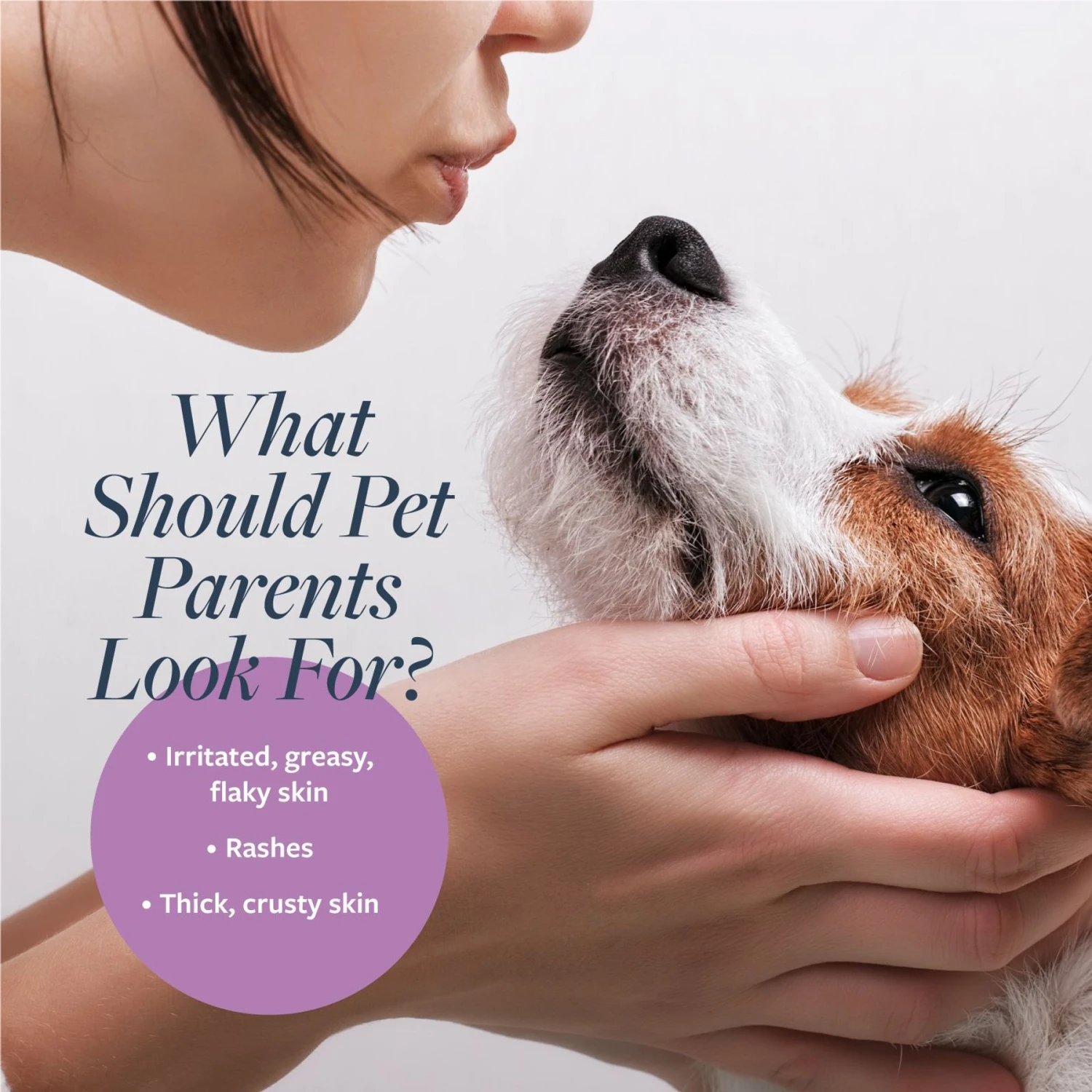 Veterinary Formula Clinical Care Antiparasitic & Antiseborrheic Shampoo 4 Veterinary Formula Clinical Care Antiparasitic & Antiseborrheic Shampoo - Image 4