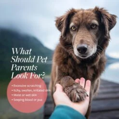 Veterinary Formula Clinical Care Hot Spot & Itch Relief Conditioner -Pet Wellness 58537 PT3. AC SS1800 V1640197005