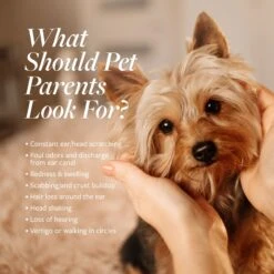 Veterinary Formula Clinical Care Ear Therapy -Pet Wellness 58539 PT3. AC SS1800 V1630732314