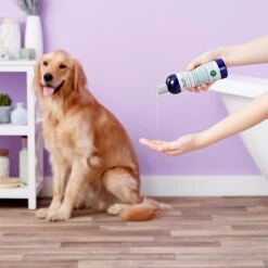 Richard's Organics Moisturizing Shampoo 10 Richard's Organics Moisturizing Shampoo -Pet Wellness 58597 PT3. AC SS1800 V1542825587