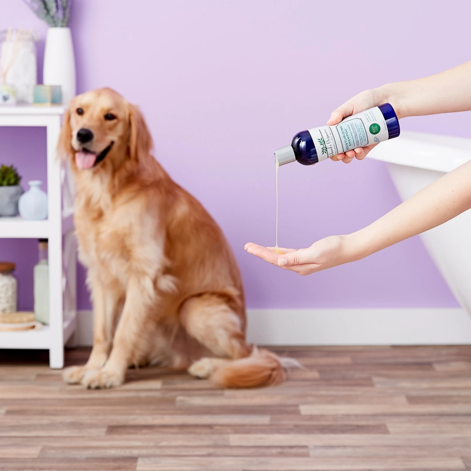 Richard's Organics Moisturizing Shampoo 4 Richard's Organics Moisturizing Shampoo - Image 4