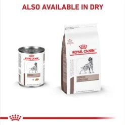 Royal Canin Veterinary Diet Adult Hepatic Loaf Canned Dog Food -Pet Wellness 58624 PT4. AC SS1800 V1691702091