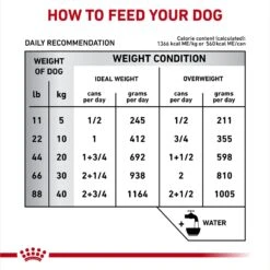 Royal Canin Veterinary Diet Adult Hepatic Loaf Canned Dog Food -Pet Wellness 58624 PT6. AC SS1800 V1691702091