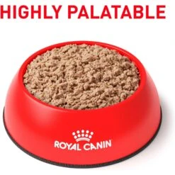Royal Canin Veterinary Diet Adult Glycobalance Loaf In Sauce Canned Dog Food 11 Royal Canin Veterinary Diet Adult Glycobalance Loaf In Sauce Canned Dog Food -Pet Wellness 58700 PT2. AC SS1800 V1641861707