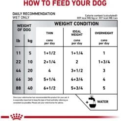 Royal Canin Veterinary Diet Adult Glycobalance Loaf In Sauce Canned Dog Food 13 Royal Canin Veterinary Diet Adult Glycobalance Loaf In Sauce Canned Dog Food -Pet Wellness 58700 PT4. AC SS1800 V1641857485