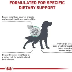 Royal Canin Veterinary Diet Adult Satiety Support Weight Management Dry Dog Food -Pet Wellness 58750 PT2. AC SS1800 V1661829596