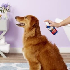 Vetericyn Plus Antimicrobial Hot Spot Spray For Dogs, Cats & Small Pets -Pet Wellness 58909 PT4. AC SS1800 V1535664120