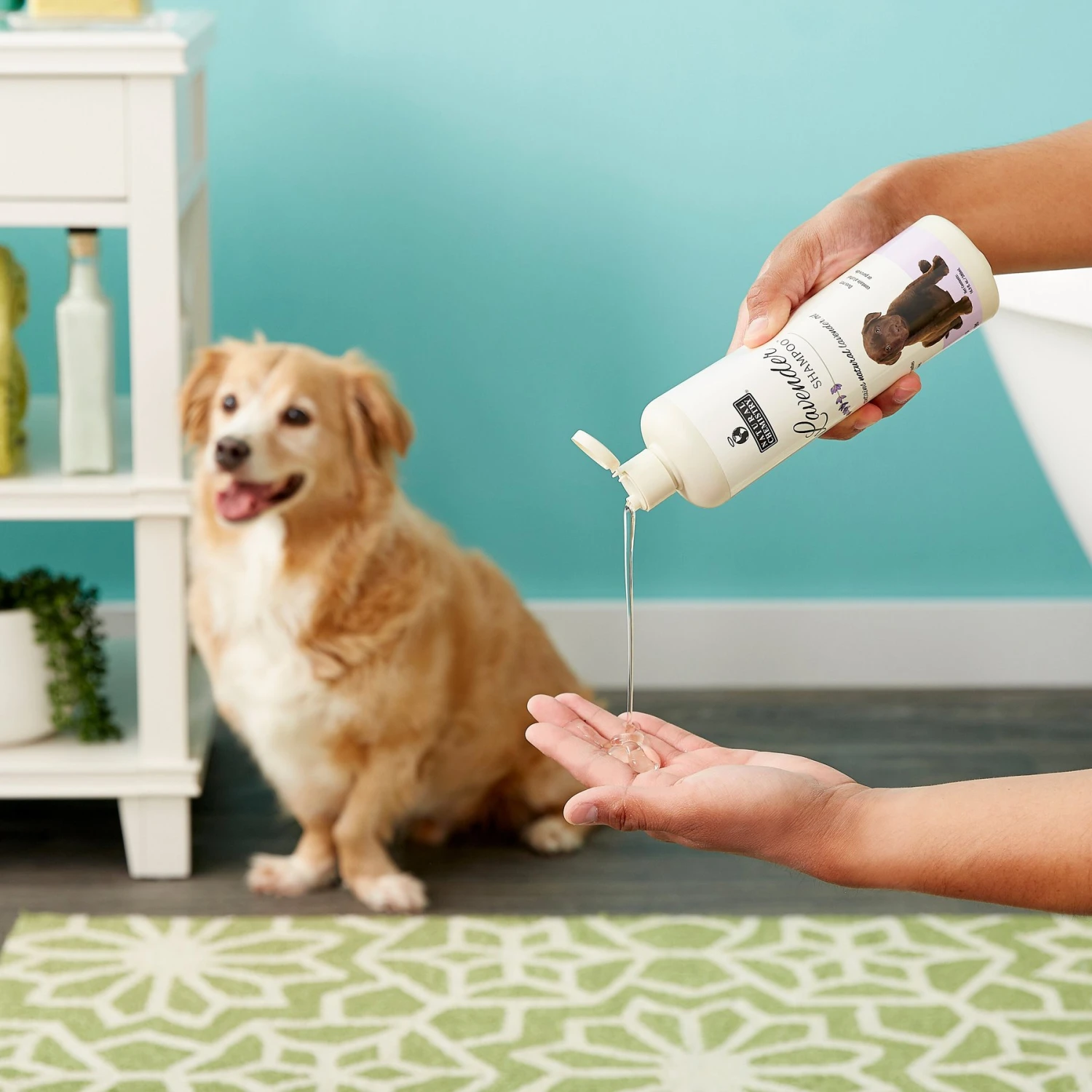 Natural Chemistry Natural Lavender Shampoo For Dogs 4 Natural Chemistry Natural Lavender Shampoo For Dogs - Image 4