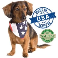 Vet's Best Anti-Flea Easy Spray Shampoo For Dogs 7 Vet's Best Anti-Flea Easy Spray Shampoo For Dogs -Pet Wellness 60167 PT2. AC SS1800 V1632787881