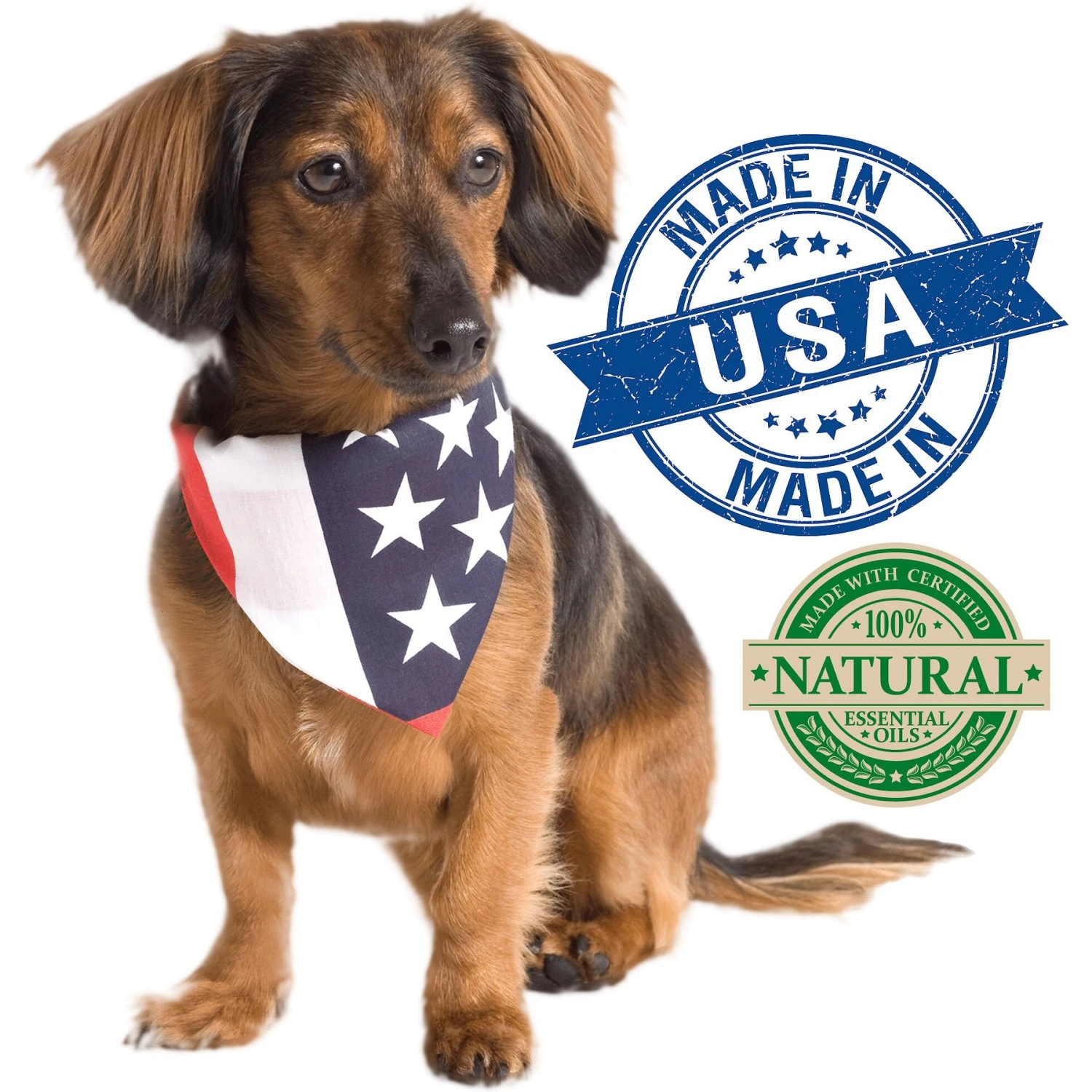 Vet's Best Anti-Flea Easy Spray Shampoo For Dogs 3 Vet's Best Anti-Flea Easy Spray Shampoo For Dogs - Image 3